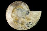 Agatized Ammonite Fossil (Half) - Madagascar #135246-1
